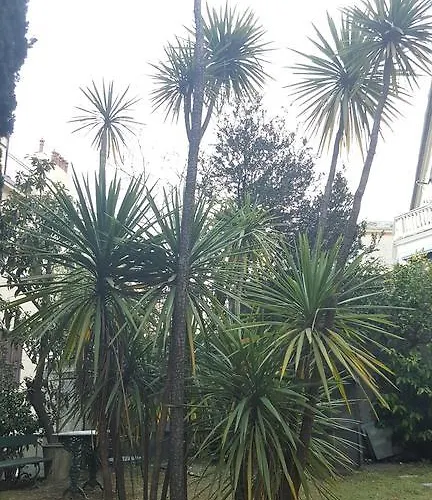 Casa de hóspedes Royal