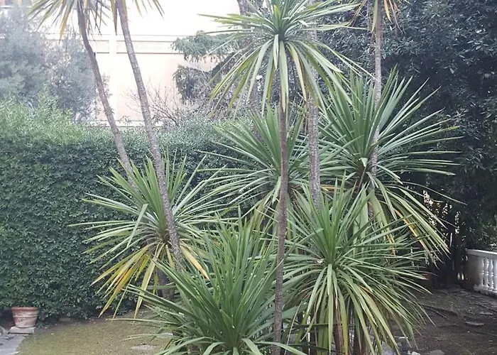 Casa de hóspedes Royal Génova