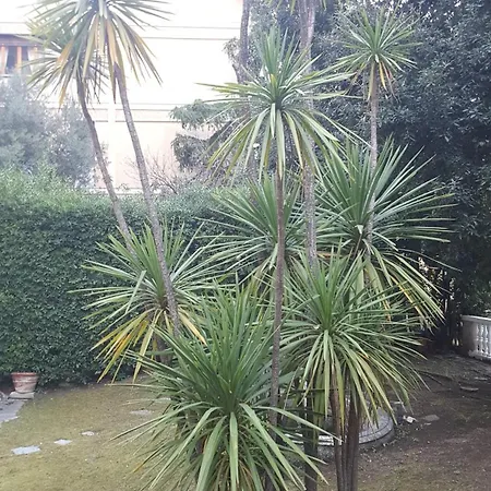 Guest house Royal Genoa