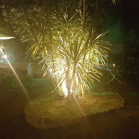 ゲストハウス Royal 3*